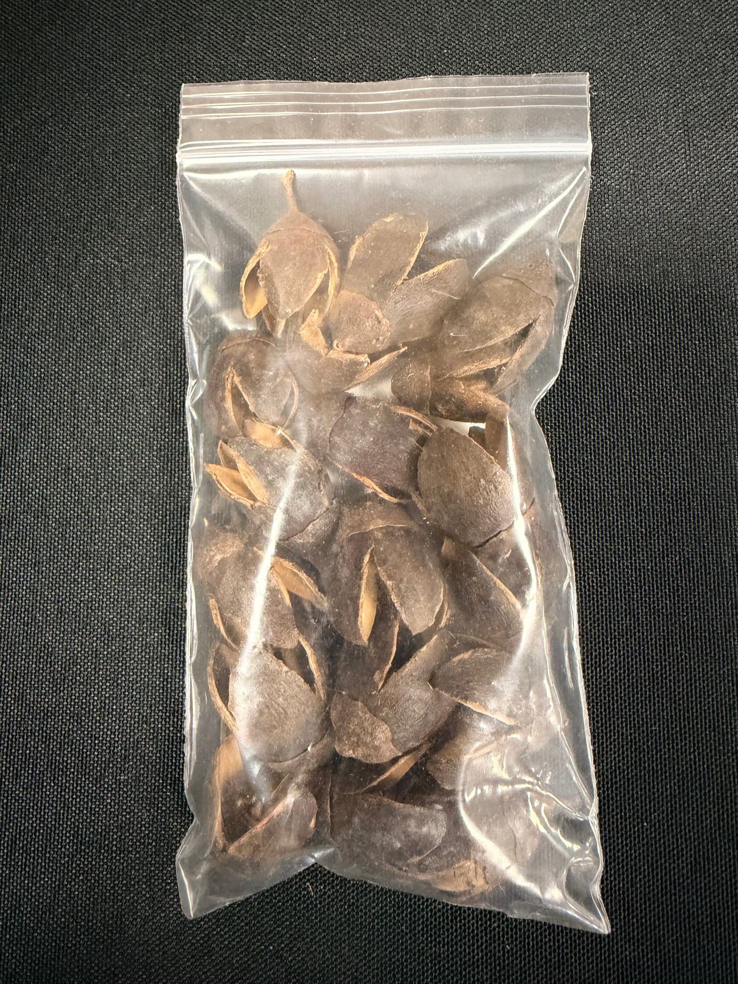 Bakuli Pods
