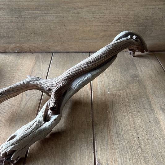 Medium Manzanita Branch