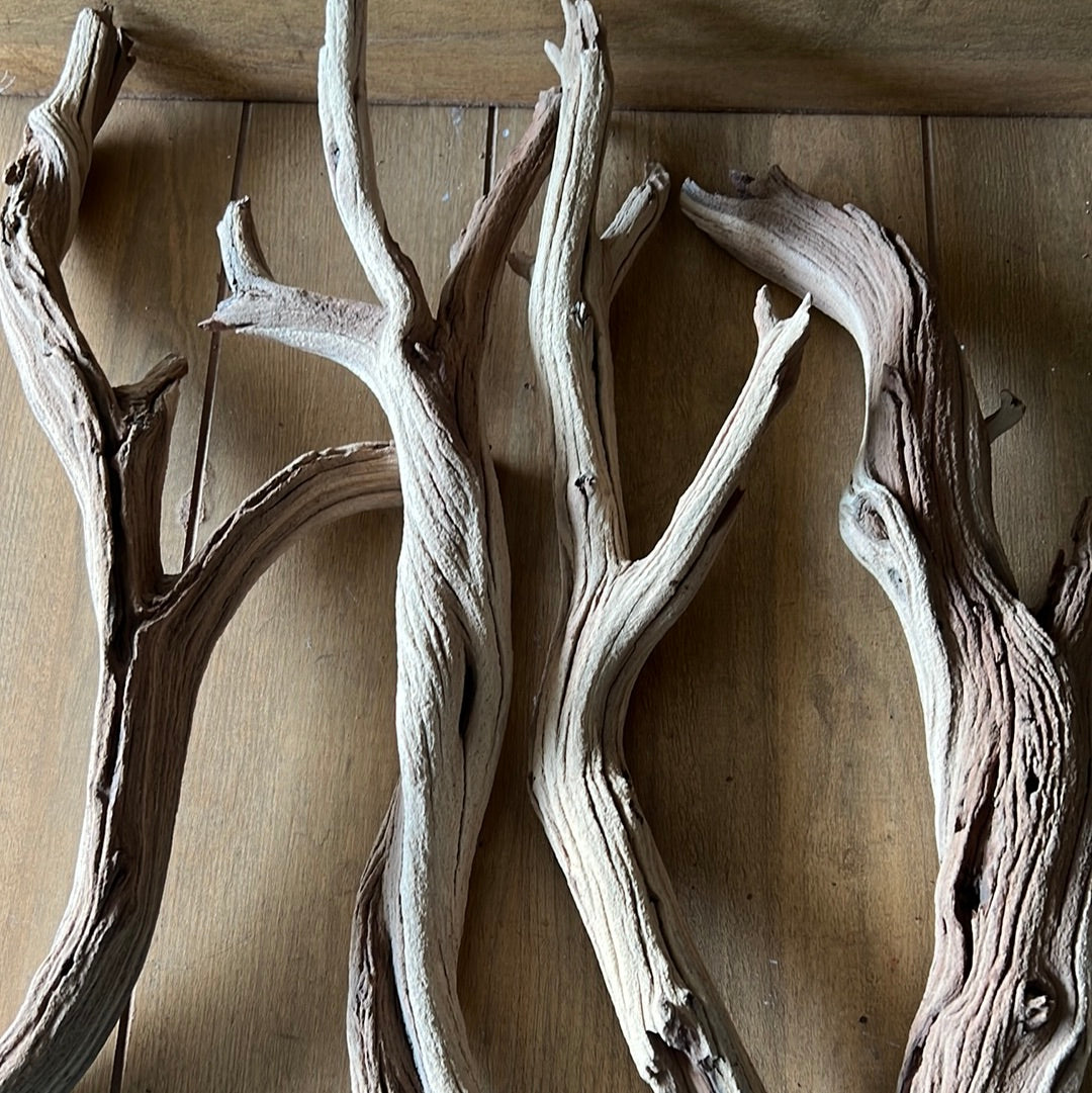 Small Manzanita Branch
