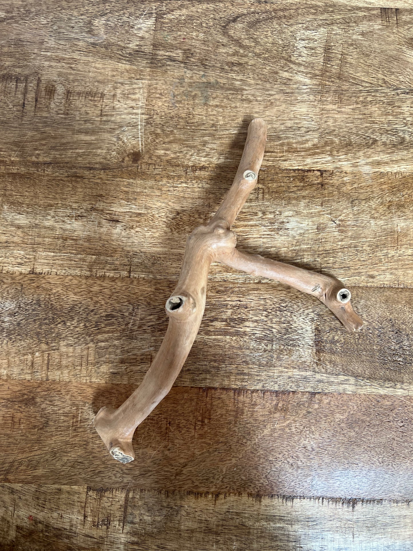 Java Wood Branch (extra small)
