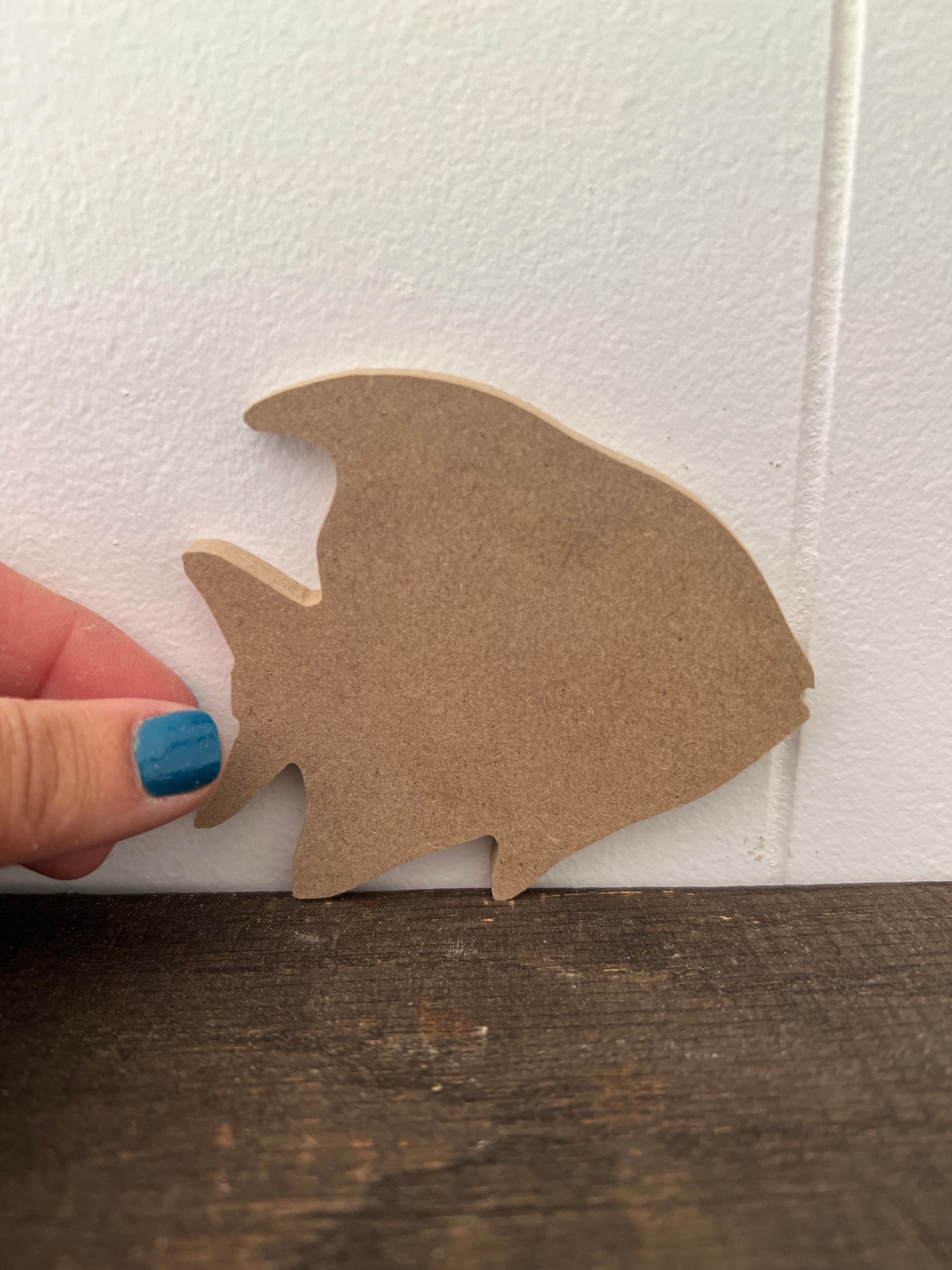 Fish Cut Out