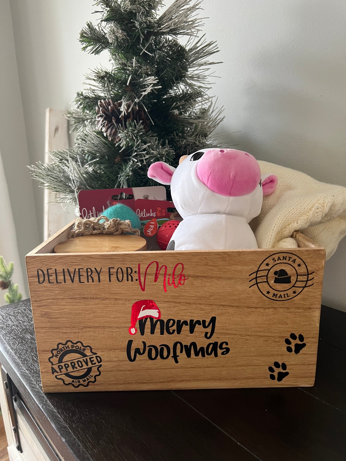 Personalized Christmas Eve Box for Dog or Cat