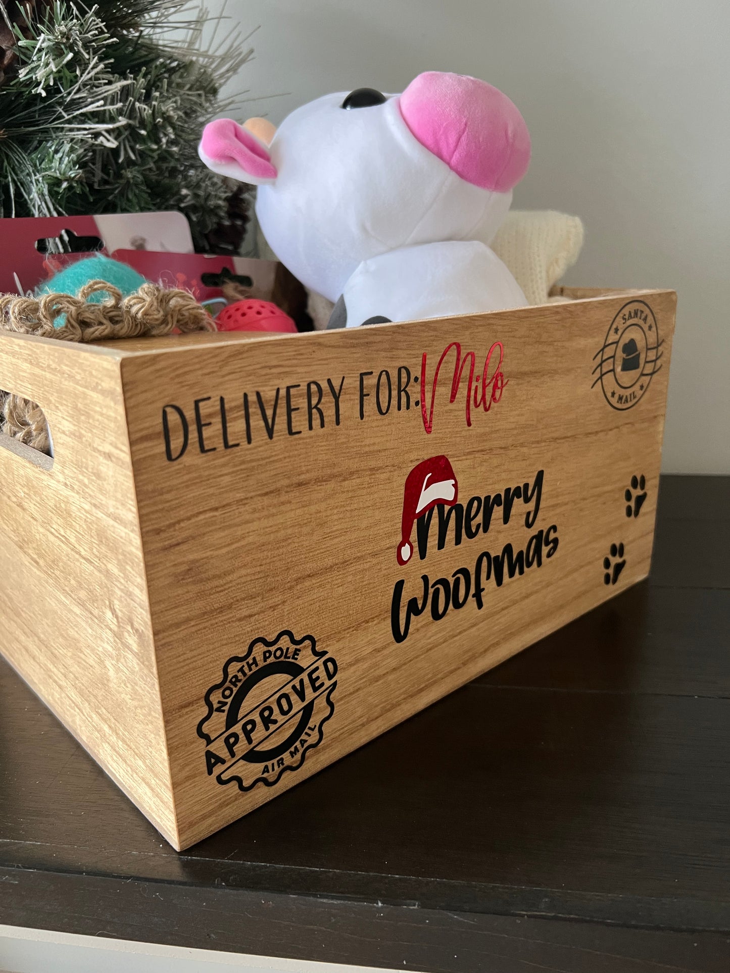 Personalized Christmas Eve Box for Dog or Cat