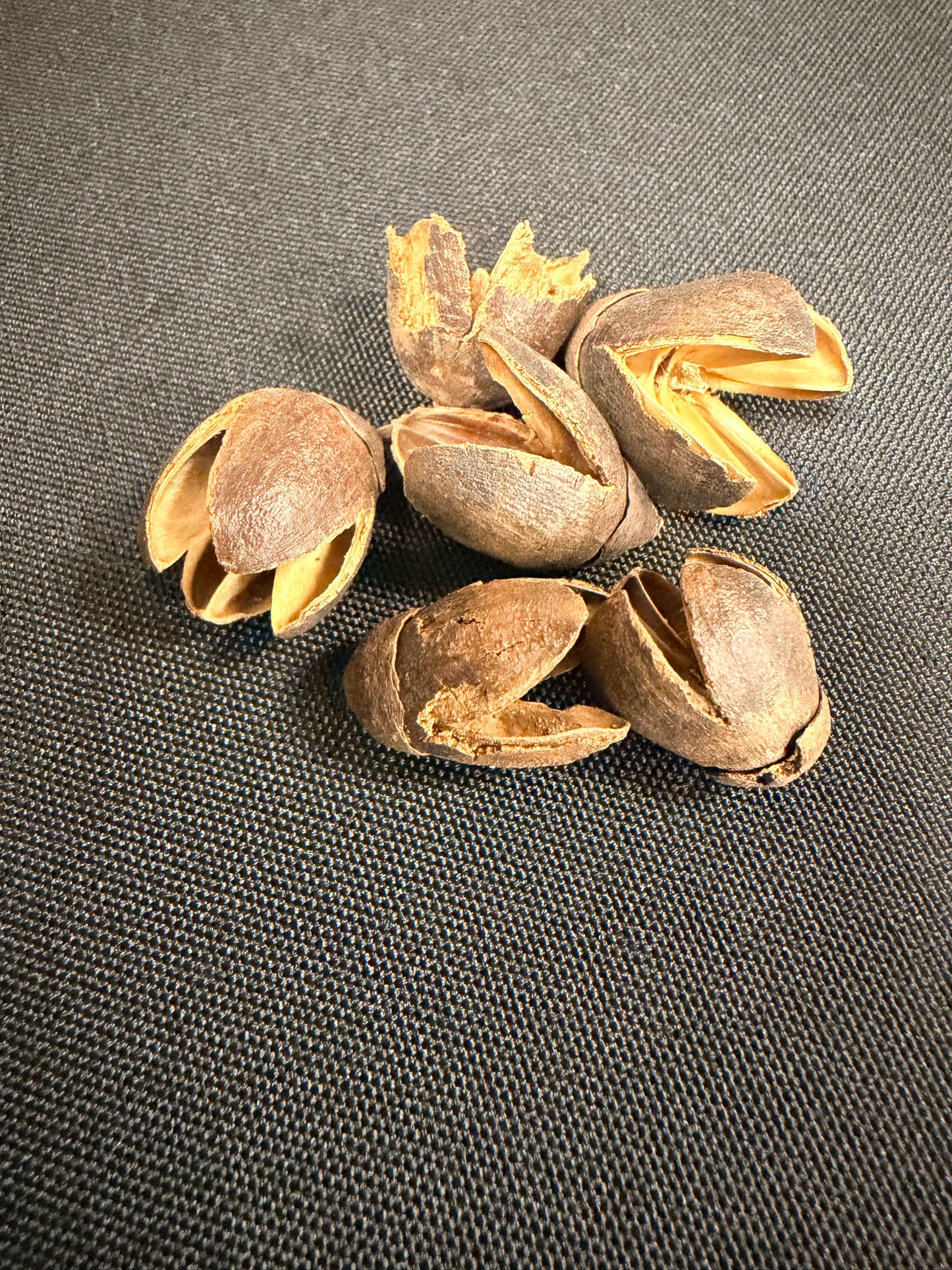 Bakuli Pods