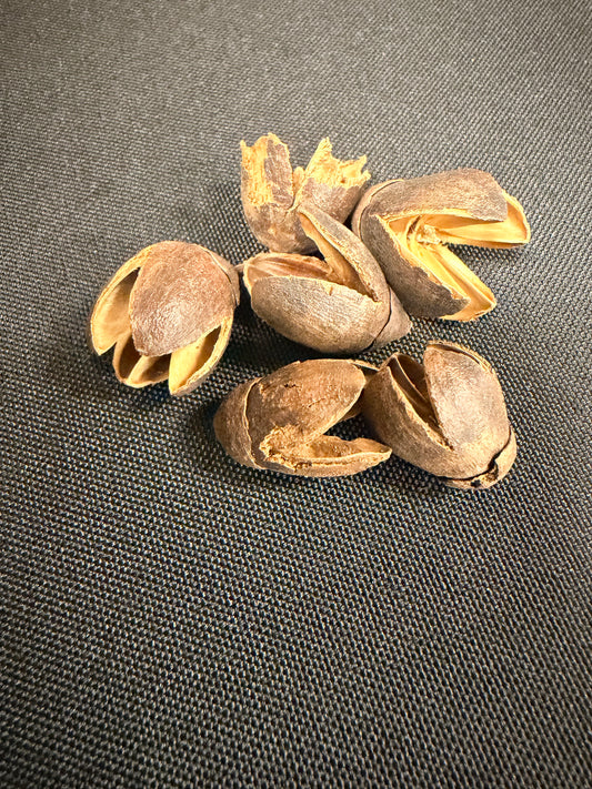 Bakuli Pods