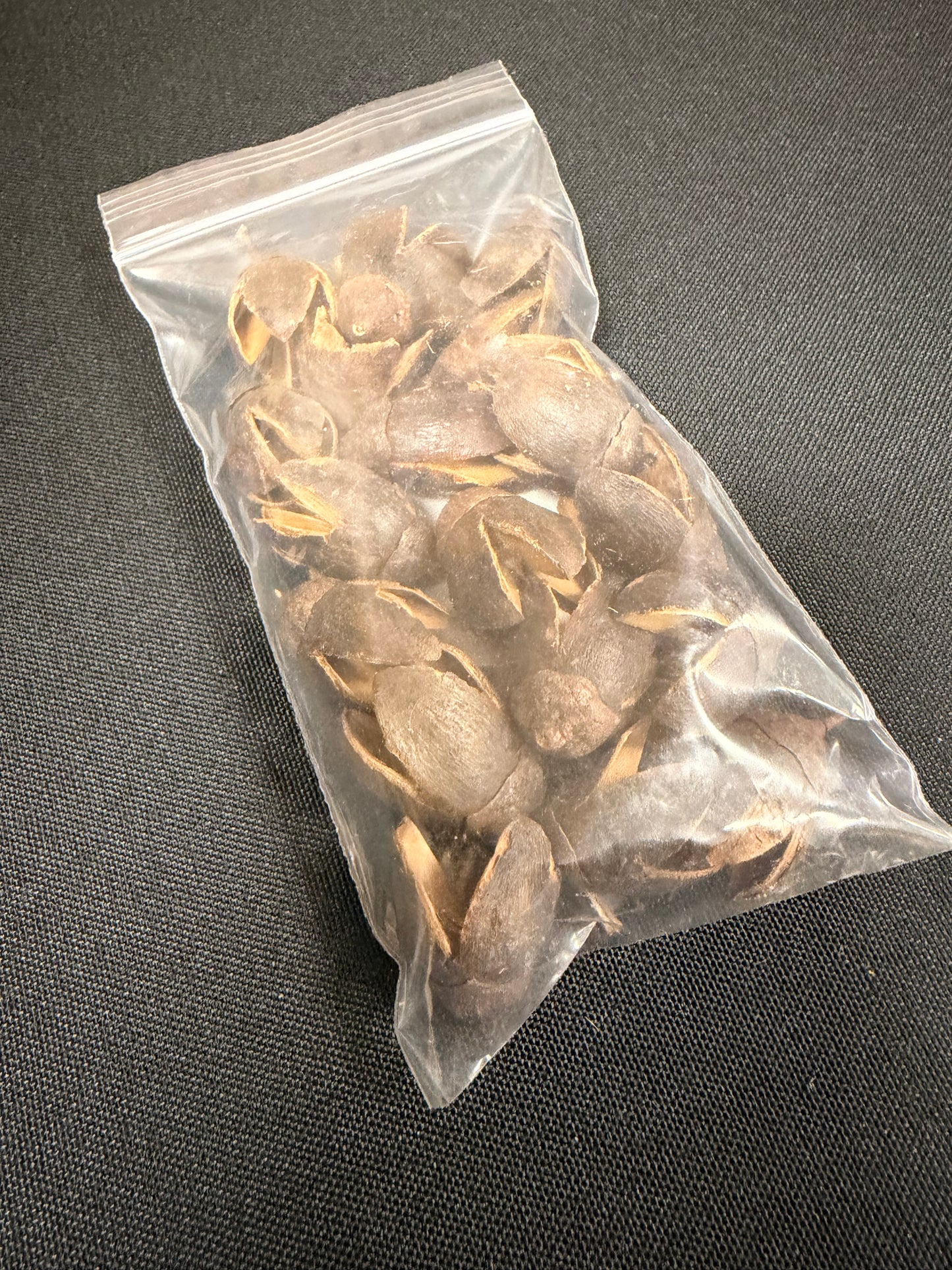 Bakuli Pods