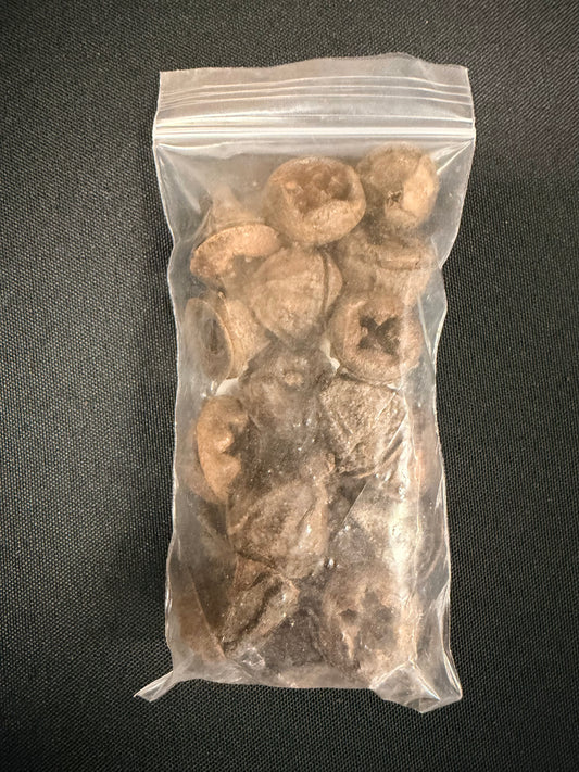 Eucalyptus Pods