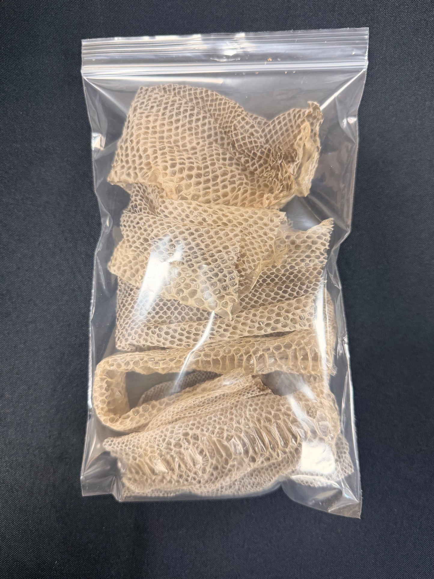 Snake Skin