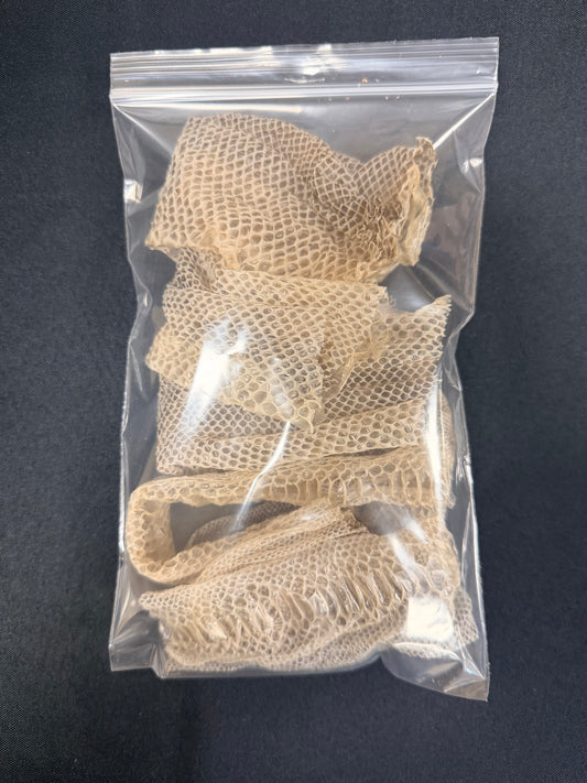 Snake Skin