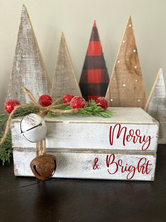 Merry & Bight Christmas Books