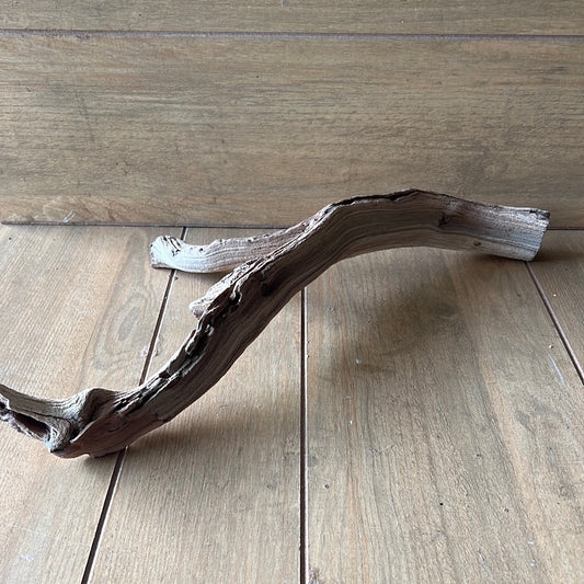 Small Manzanita Branch