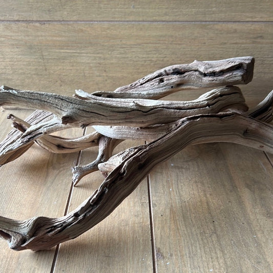 Small Manzanita Branch