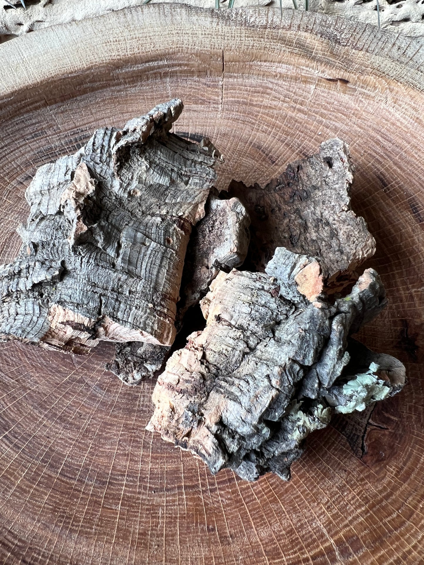 Cork Bark Pieces LF Rustics, LLC