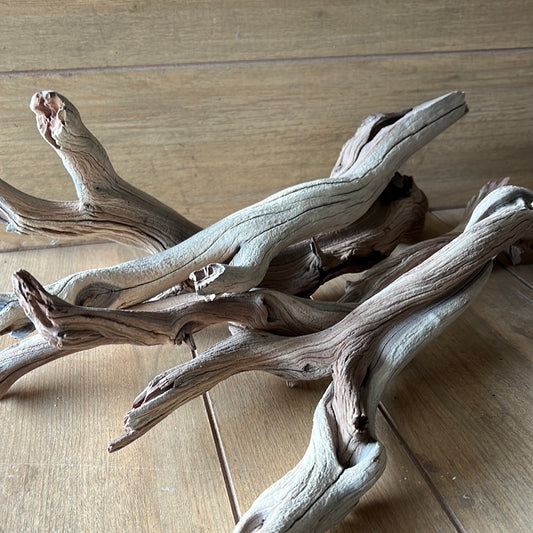 Medium Manzanita Branch