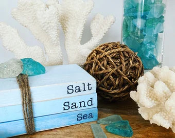 Salt Sand Sea Mini Books