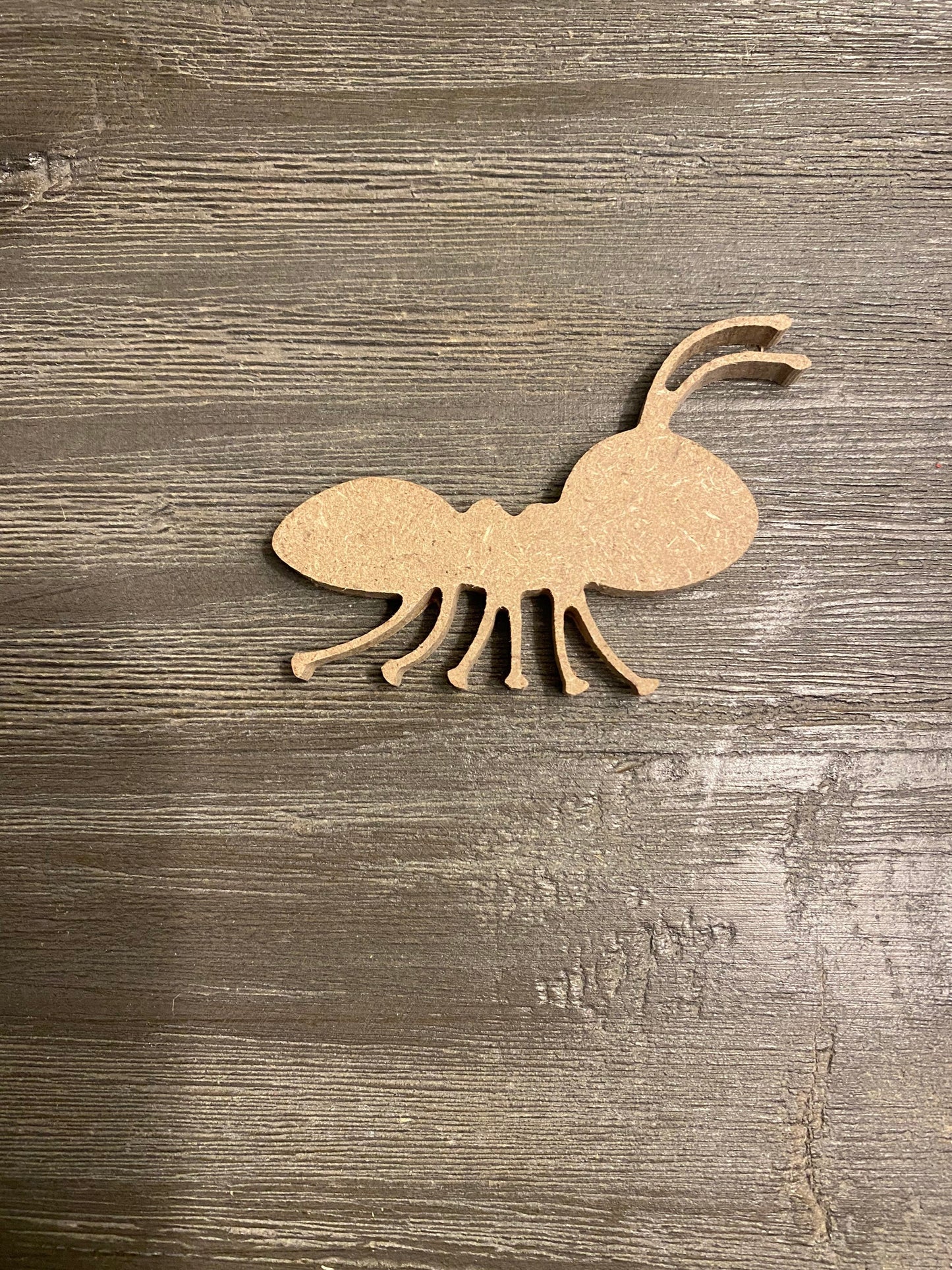 1/4'' Ant Charm Cut Out