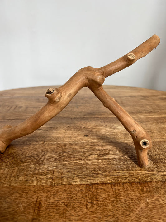 Java Wood Branch (extra small)
