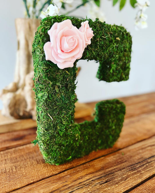 12” Moss Letters